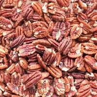 Pecan Nuts