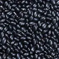 Black Kidney Beans
