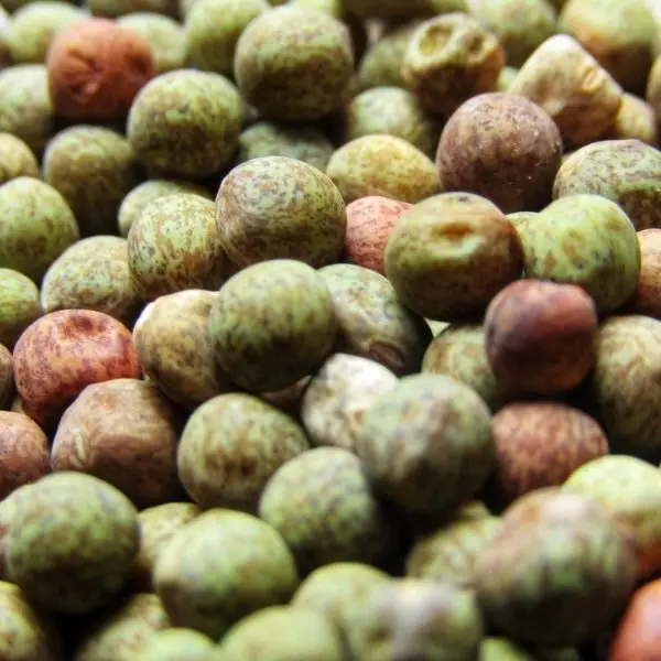 Dry Peas