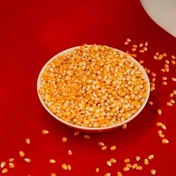 Maize/Corn