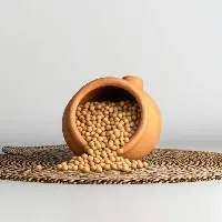 Soybean