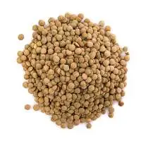 White Pea