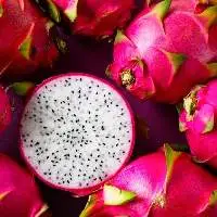 Dragon Fruit