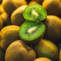 Kiwi