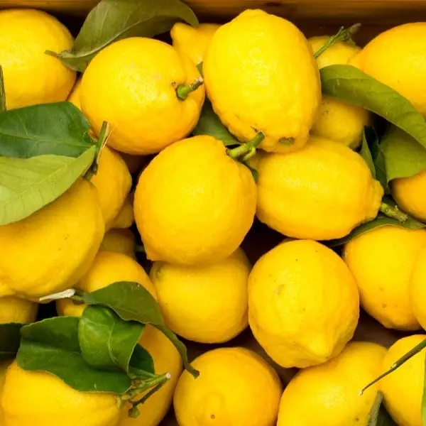 Lemon