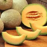 Muskmelon
