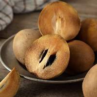Sapodilla