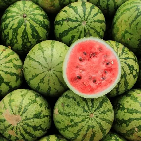 Watermelon