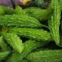 Bitter Gourd
