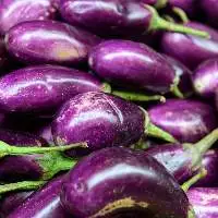 Brinjal