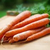 Carrot