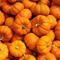 Pumpkin