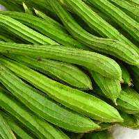 Ridge Gourd
