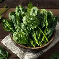Spinach