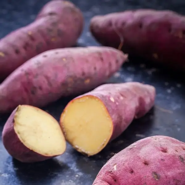 Sweet Potato