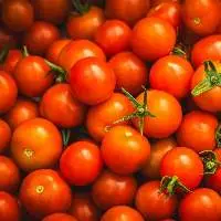 Tomato