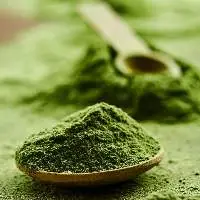 Solar Dehydrated Green Chilli