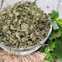 Solar Dehydrated Mint Leaves