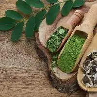 Solar Dehydrated Moringa Leaves