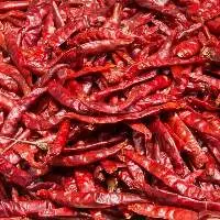 Solar Dehydrated Red Chilli