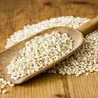 Barley