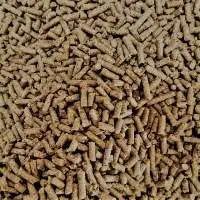 Horse Feed