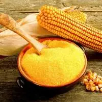Maize Gluten