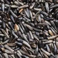 Niger Seeds
