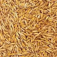 Rice Bran