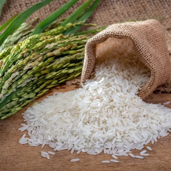 Rice Polish
