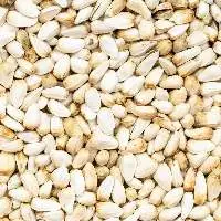 Safflower Seeds