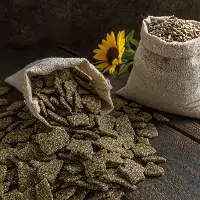 Sunflower Cake