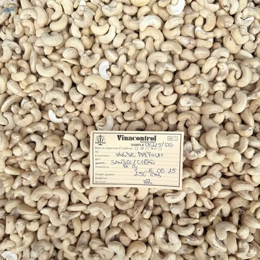 Cashew Nuts