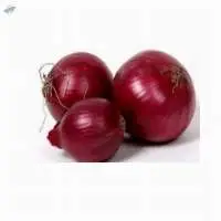 Onion