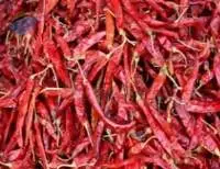 Red Chilli