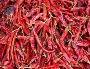 Red Chilli
