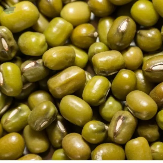 Whole Green Gram (Moong Dal/Sabut Mung)