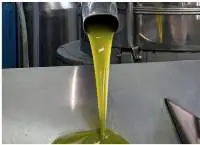 Olive Oil