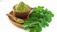Moringa Powder