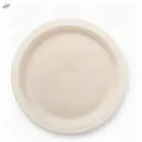 Bio Degradable Plates