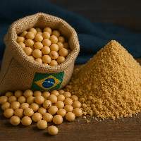 Soybeans GMO & Non-GMO