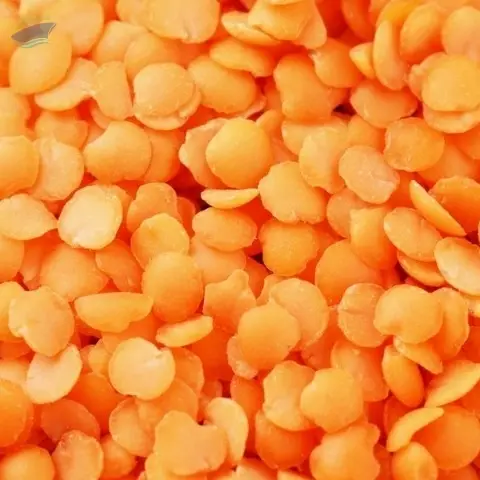 Lentils