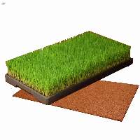 Rice Seedling Cultivation Growing Pad