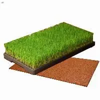 Rice Seedling Cultivation Growing Pad