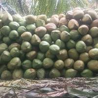 Fresh Coconut