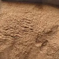 Premium Quality Coconut Shell Powder