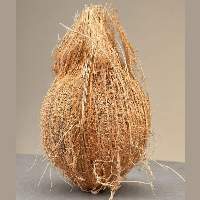Premium Quality Semi-Husked Coconut