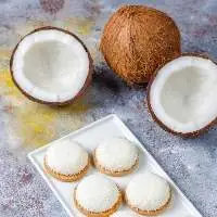 Desiccated Coconut Powder