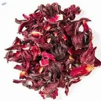 Hibiscus Flower