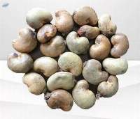 Raw Cashew Nut